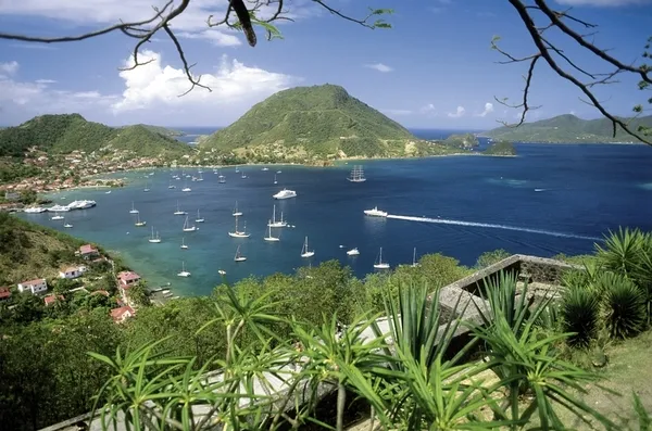 100 % Guadeloupe - Erlebnis Schmetterlingsinsel