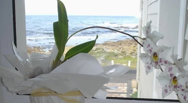 138 Marine Beachfront Guesthouse