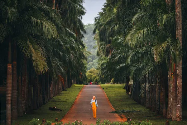 3* Gruppenrundreise Sri Lanka kompakt