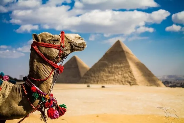 Urlaub in Rund & Erlebnisreisen - Ägypten