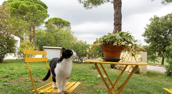 Agriturismo Campanacci