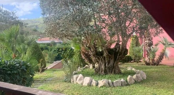 Agriturismo San Martino