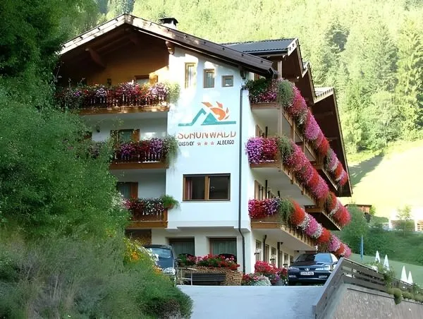 Aktiv Hotel Schönwald