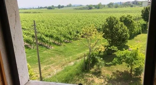 Albergo Mio