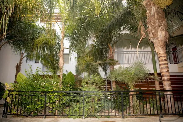 Alecos Hotel Apartments
