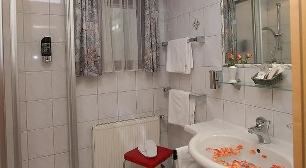 Alphotel Salner