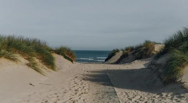 Am Meer
