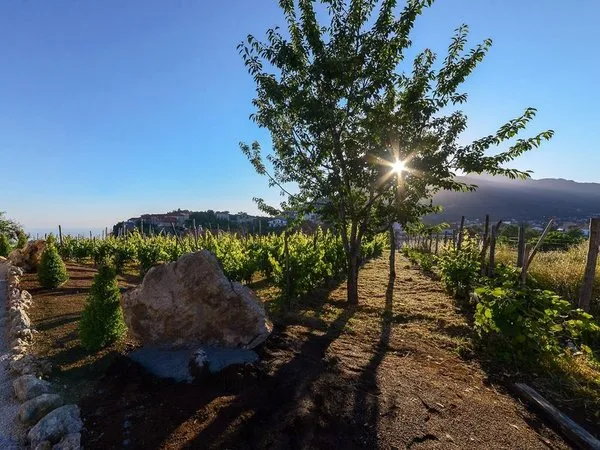 Antichi Orti Del Sole