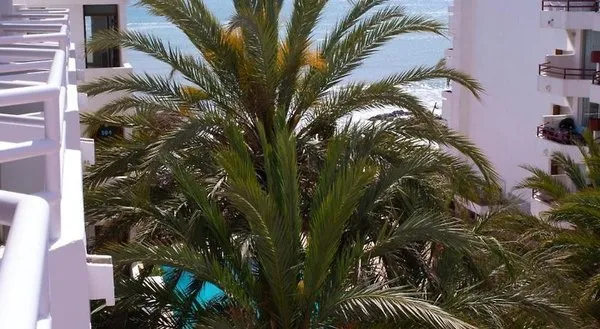 Apartamentos Llobet