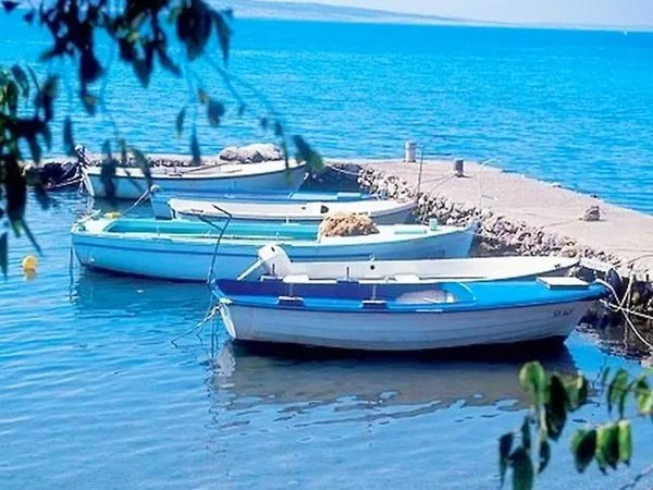 Apartments Bucic