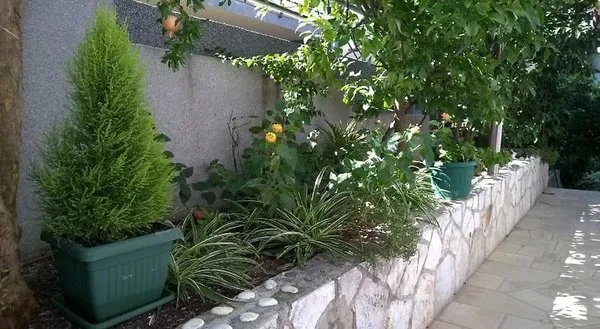 Apartments Desa Petric