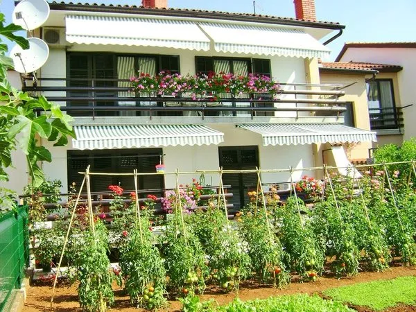 Apartments Miljenko