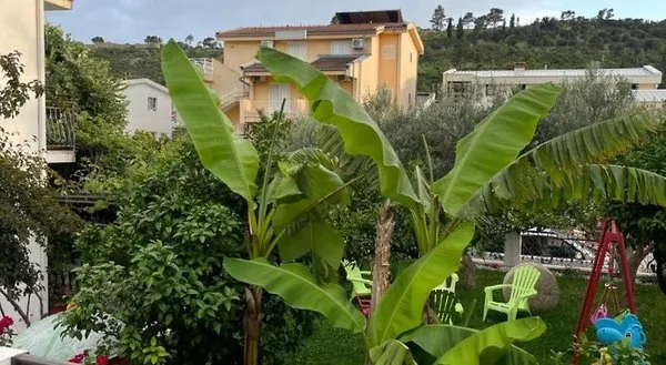 Apartments SoleMar2