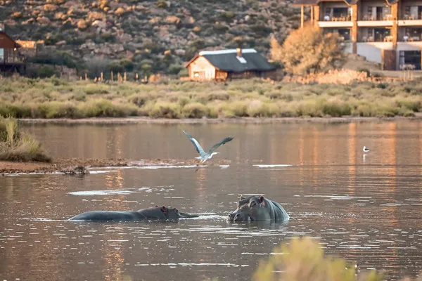 Aquila Private Game Reserve