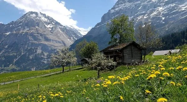 Aspen alpin_lifestyle_hotel Grindelwald