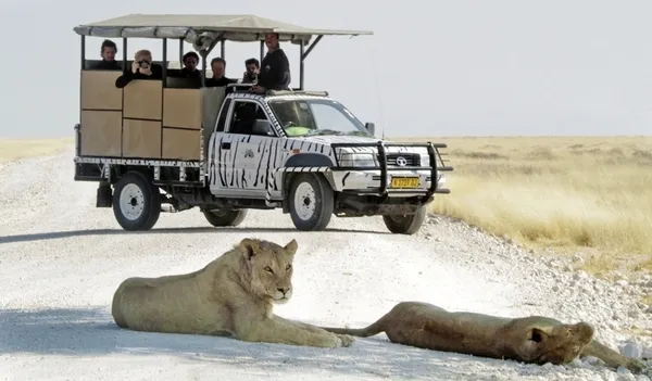 Ausflugspaket Etosha Nationalpark Superior