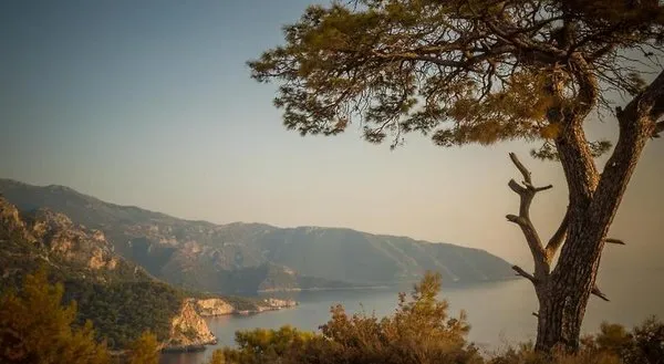 Avalon Kabak Beach