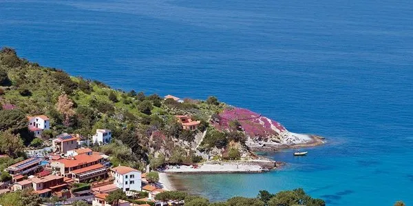 Barsalini