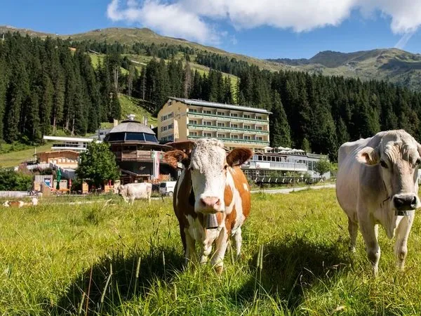 Berghotel Hochfügen