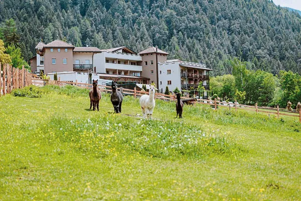 Bergschlössl