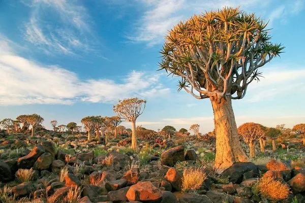 Facettenreiches Namibia,Best of Namibia Standard
