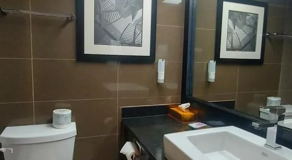 Best Western Plus Village Park Inn