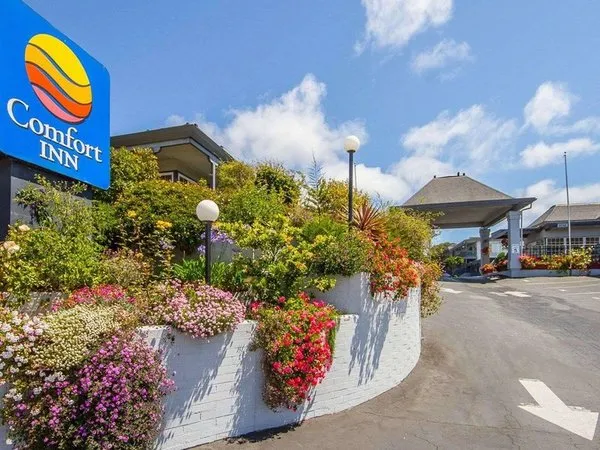 Blu Pacific Hotel