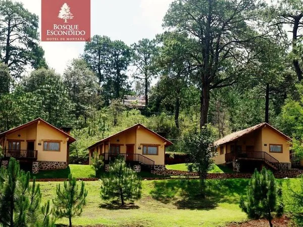 Bosque Escondido