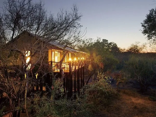 Buffalo Camp