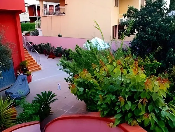 B&B Ciro's House