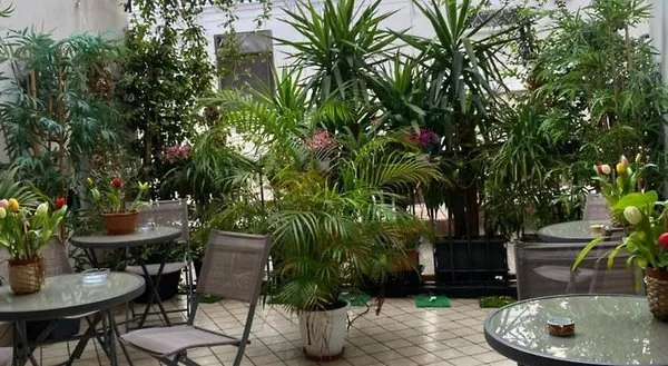 B&B Monteoliveto 33