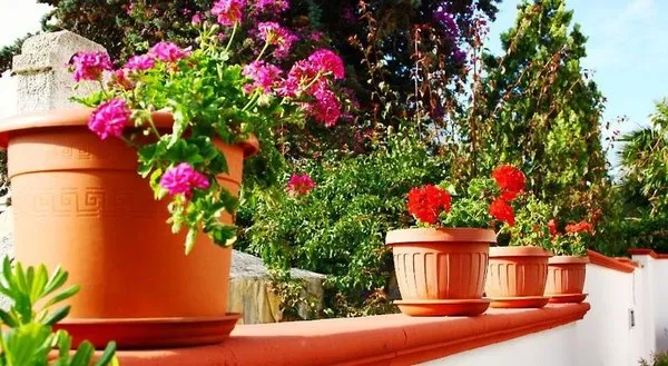 B&B Verdegiada