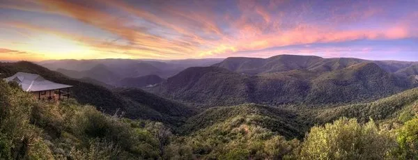 Camp Figtree