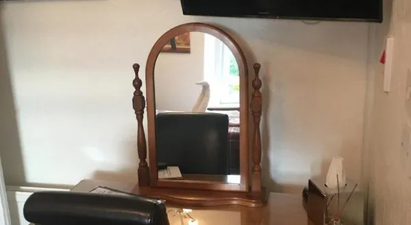 Carisbrooke Guest House