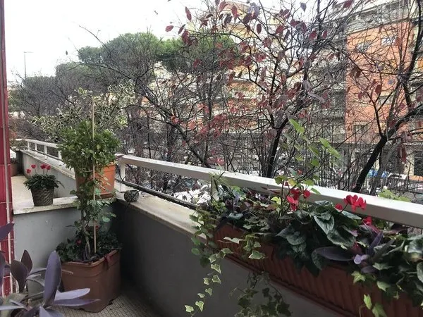 Casa Mia Vaticano