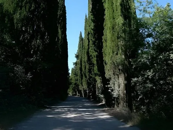 Castello La Leccia