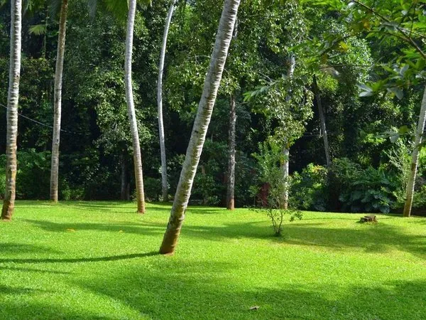 Clove Garden Kandy