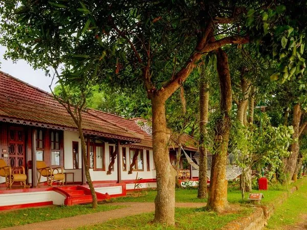 Coconut Lagoon