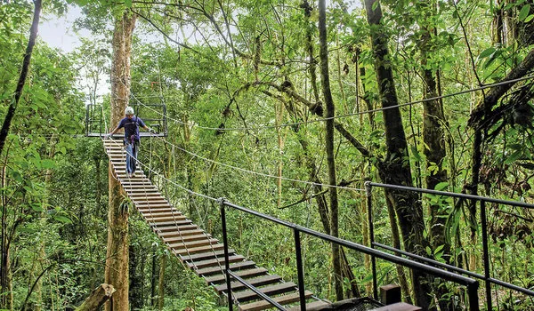 Costa Rica - Auf der Suche nach den Faultieren