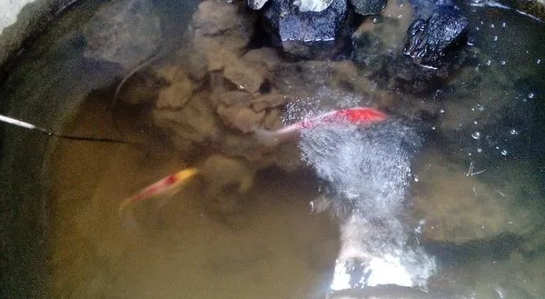 Cuatro Esquinas