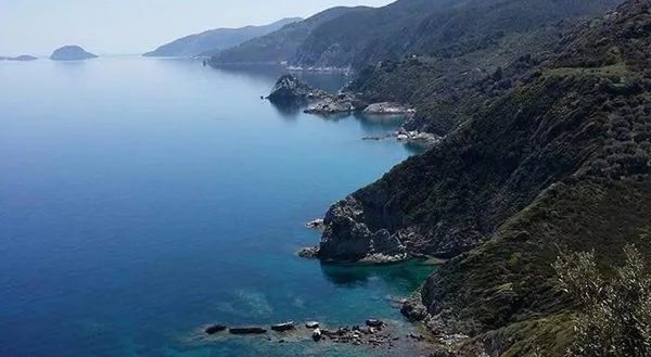 Dafnis Studios