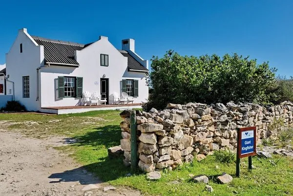 De Hoop Collection