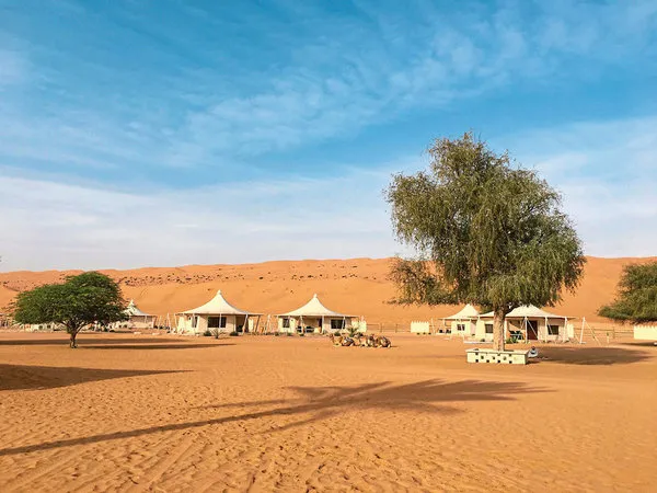 Desert Nights Resort