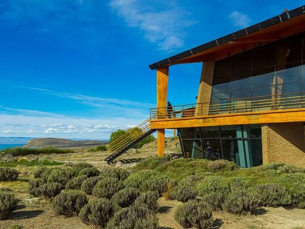 Design Suites Calafate