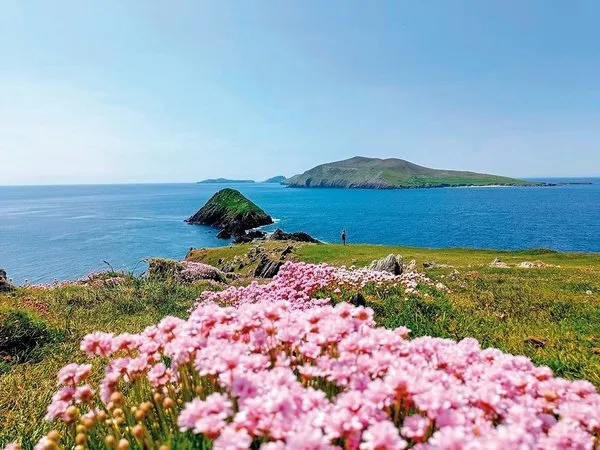 Dingle Way