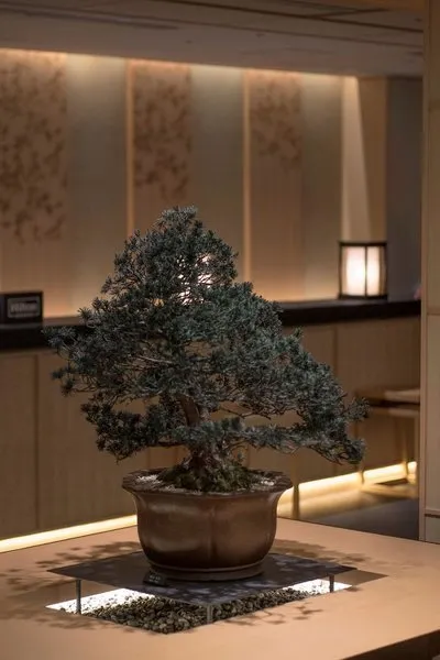 DoubleTree by Hilton Kyoto Higashiyama