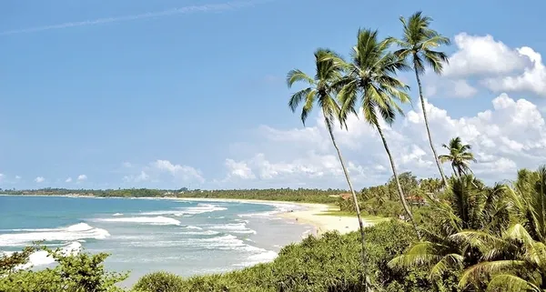 Earl's Reef Beruwala