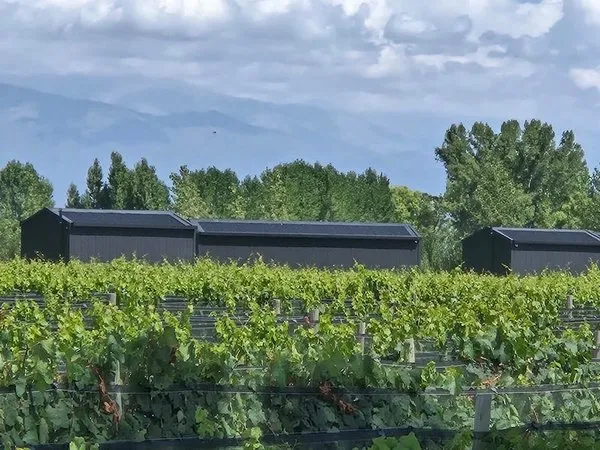 Finca Boutique Un Buen Año