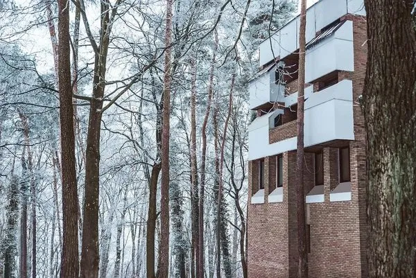 Forest Hotel