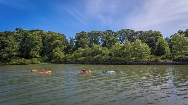 Fota Island Resort